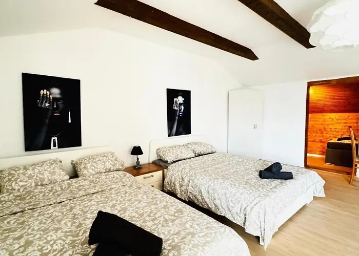 Cozy In A For Groups, 16-mins To Blumengaerten Apartment *